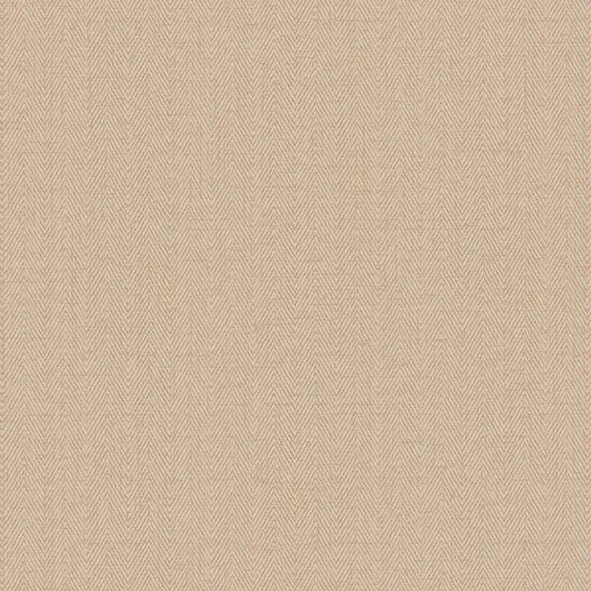 Обои Alessandro Allori 1002-10