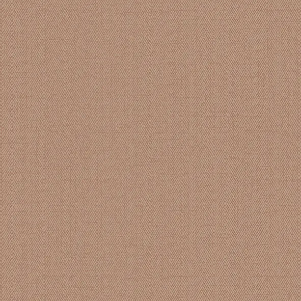 Обои Alessandro Allori 1002-15
