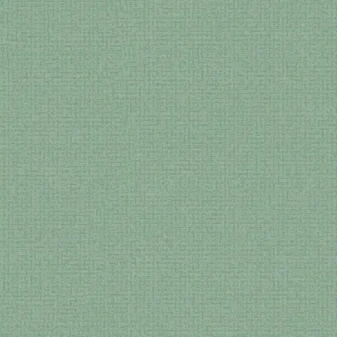 Alessandro Allori Bruni 1005-16