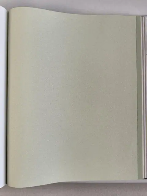 Andrea Rossi Spectrum New 54500-31