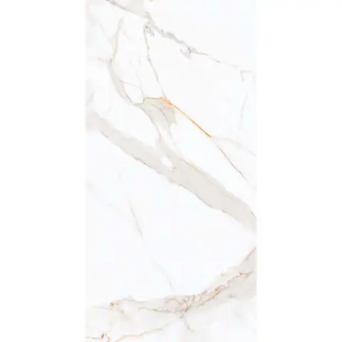 Prima Vera 60×120 PR203 Regal Carara